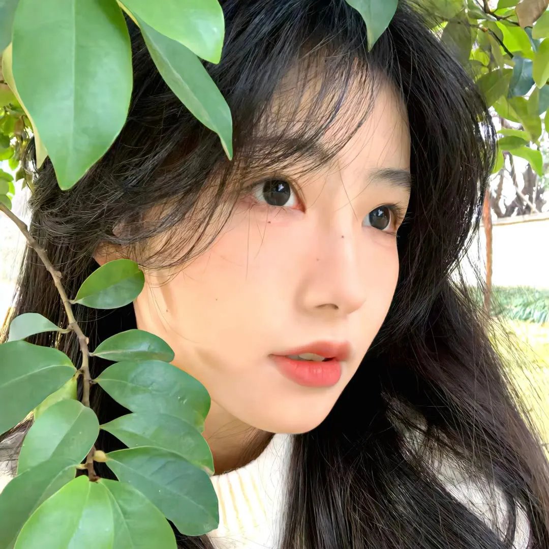 蓝色多瑙河 海报