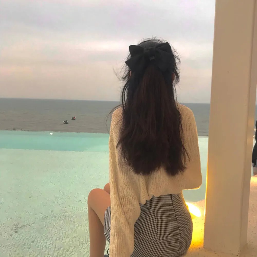 爱猫之城 海报